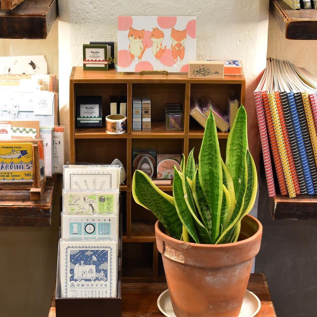 Yoseka Stationery, Brooklyn