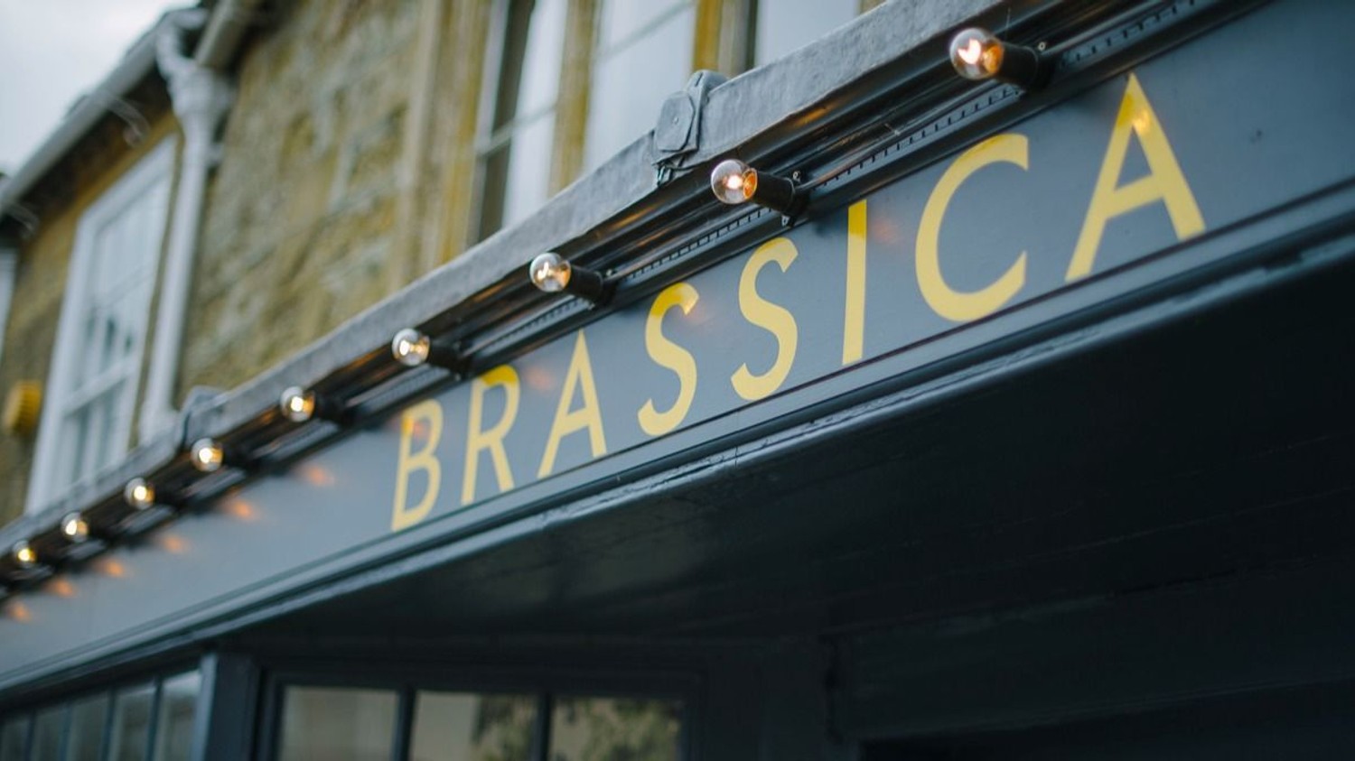 Brassica Mercantile