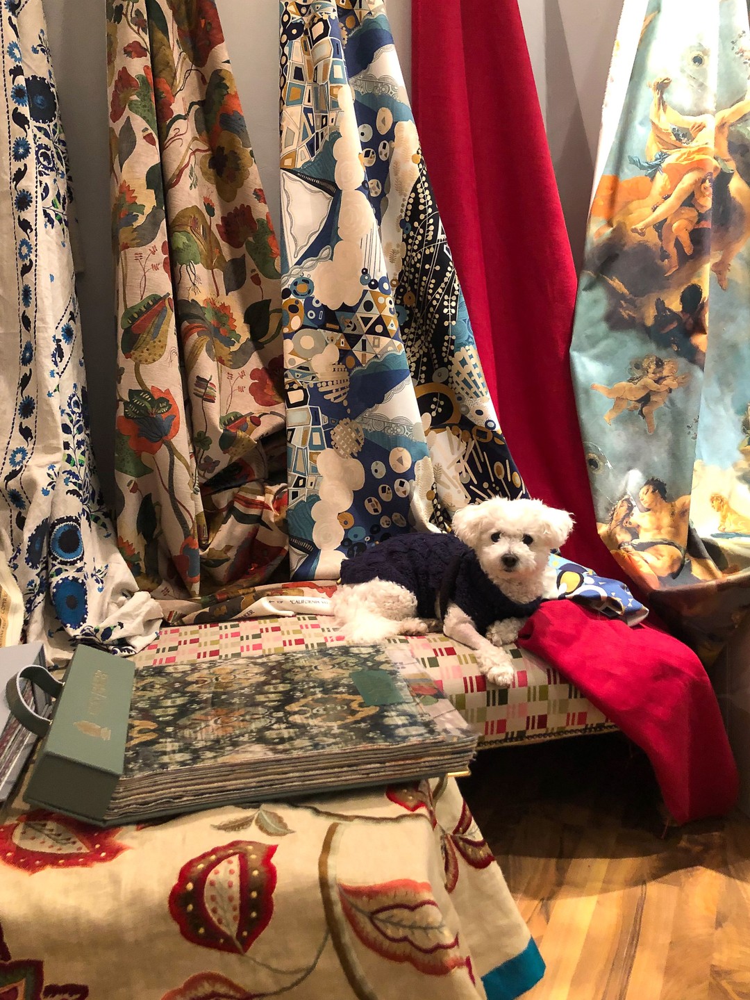 Cloth, Dublin: Coco in the interiors
