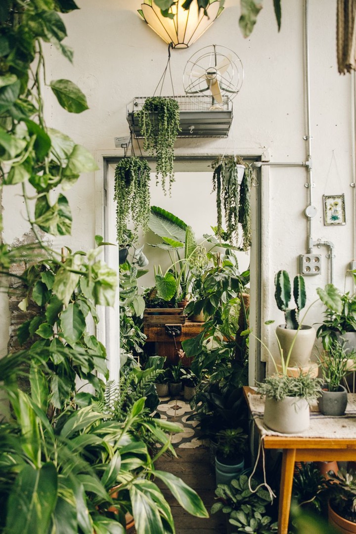 Conservatory Archives