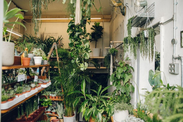 Conservatory Archives