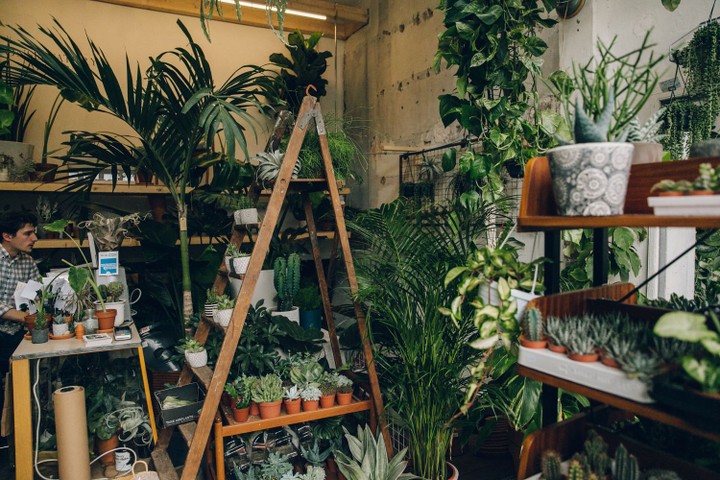 Conservatory Archives