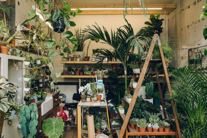 Conservatory Archives