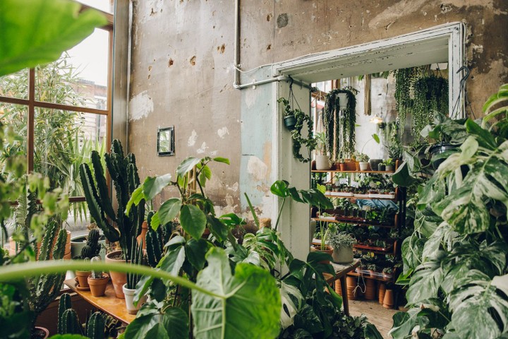 Conservatory Archives