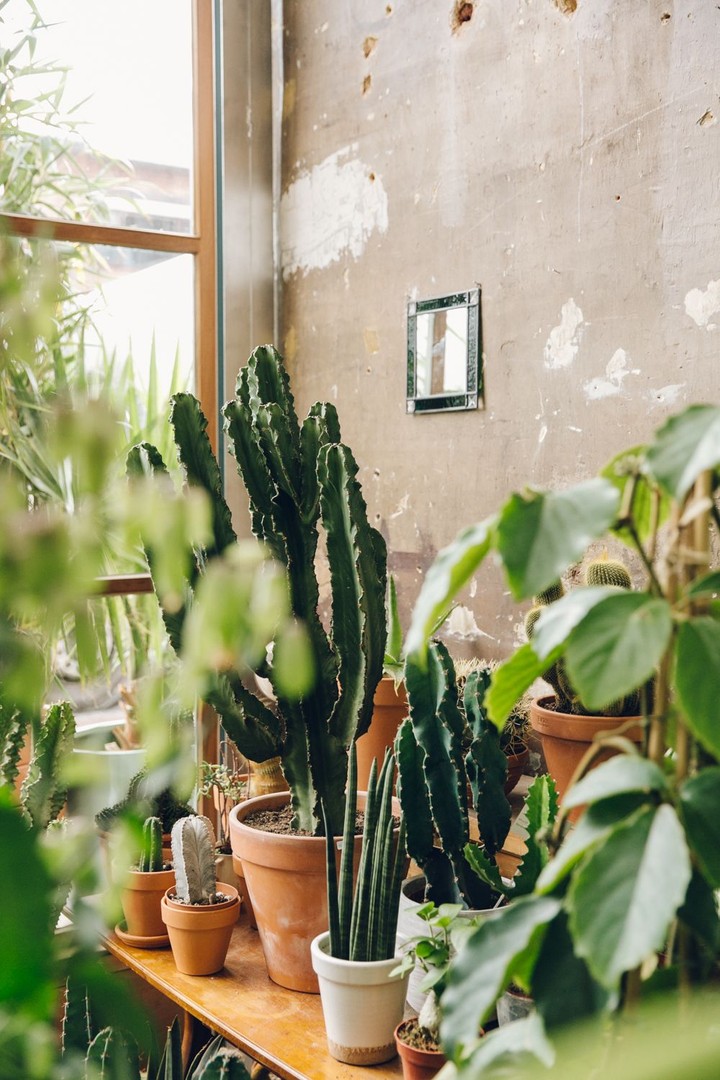 Conservatory Archives