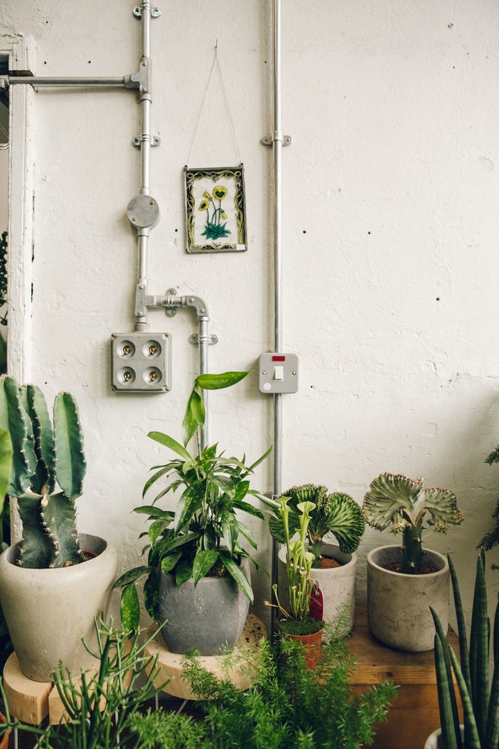 Conservatory Archives