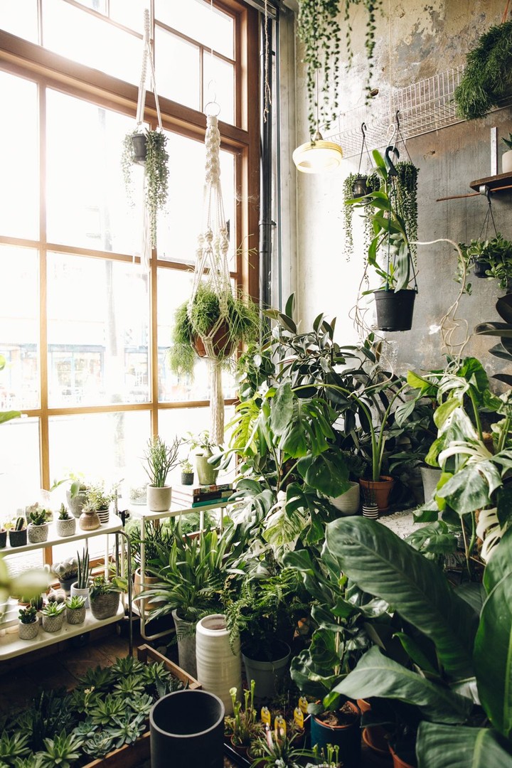 Conservatory Archives