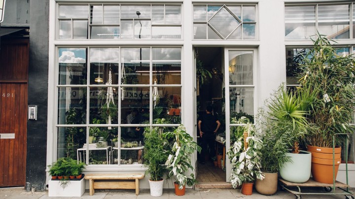 Conservatory Archives