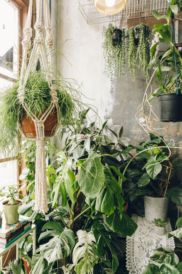 Conservatory Archives