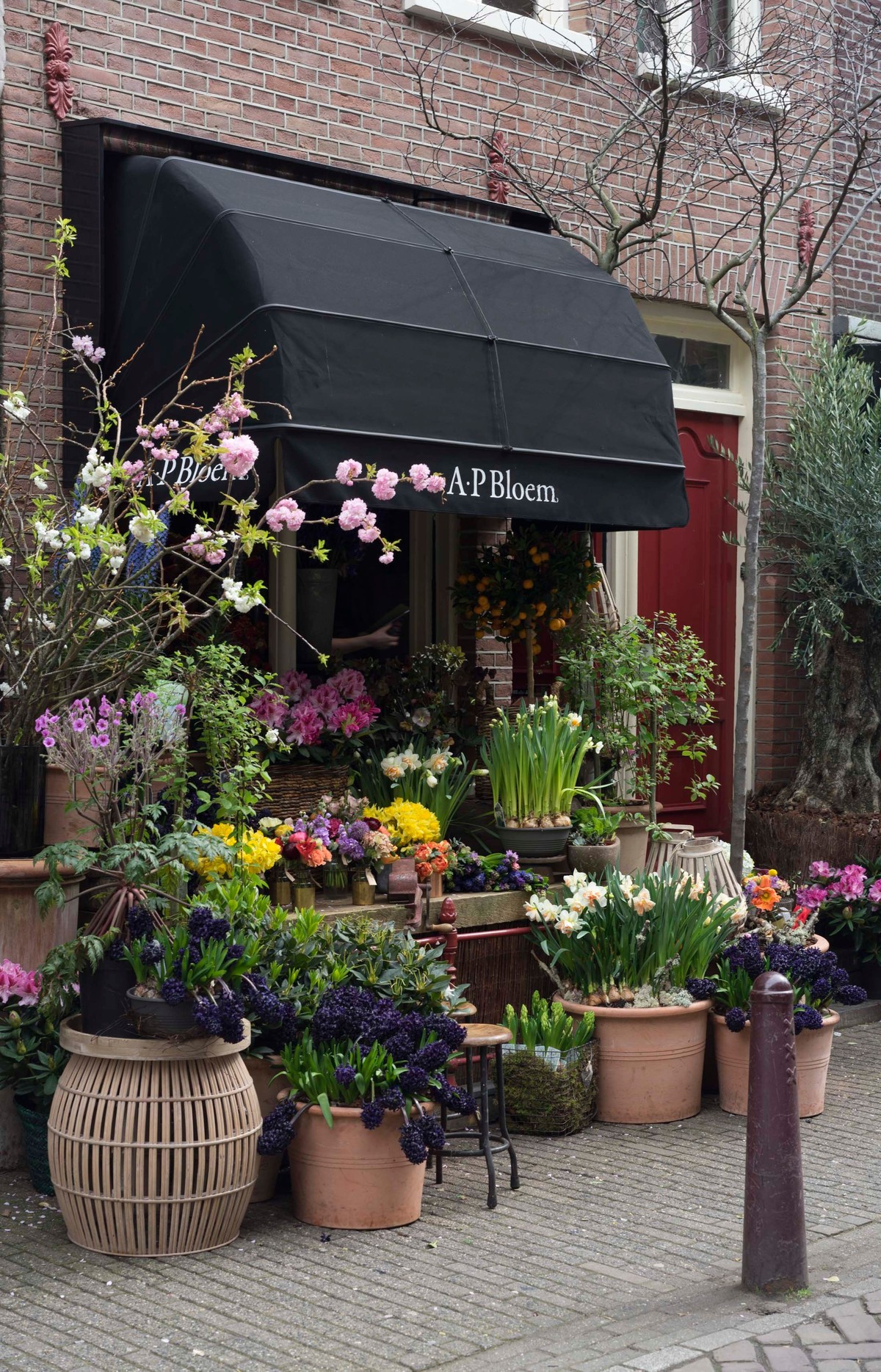 A.P Bloem, Amsterdam: Shopfront