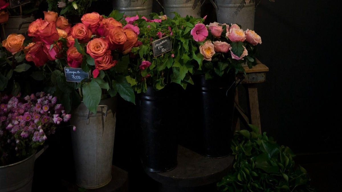 A.P Bloem, Amsterdam