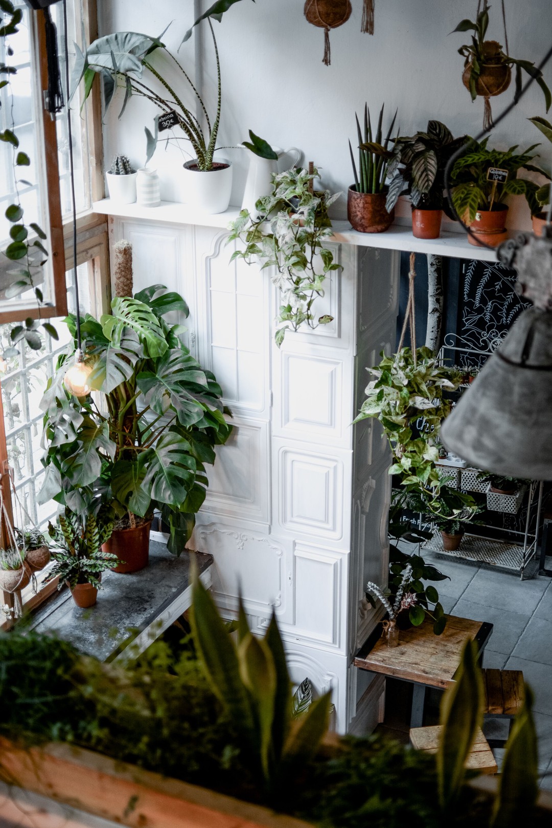 The Greens, Berlin