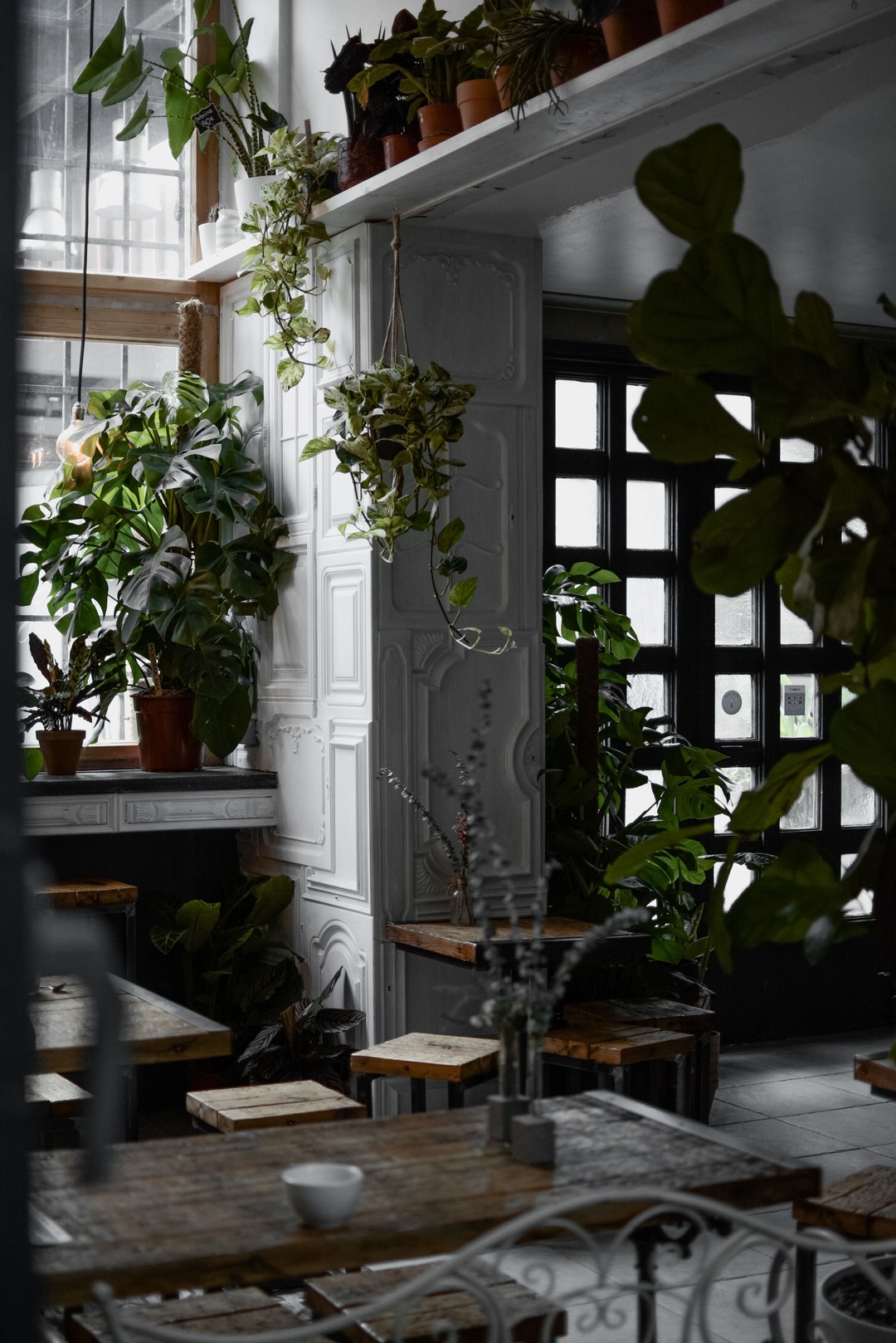 The Greens, Berlin
