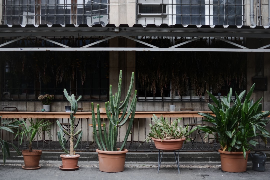 The Greens, Berlin