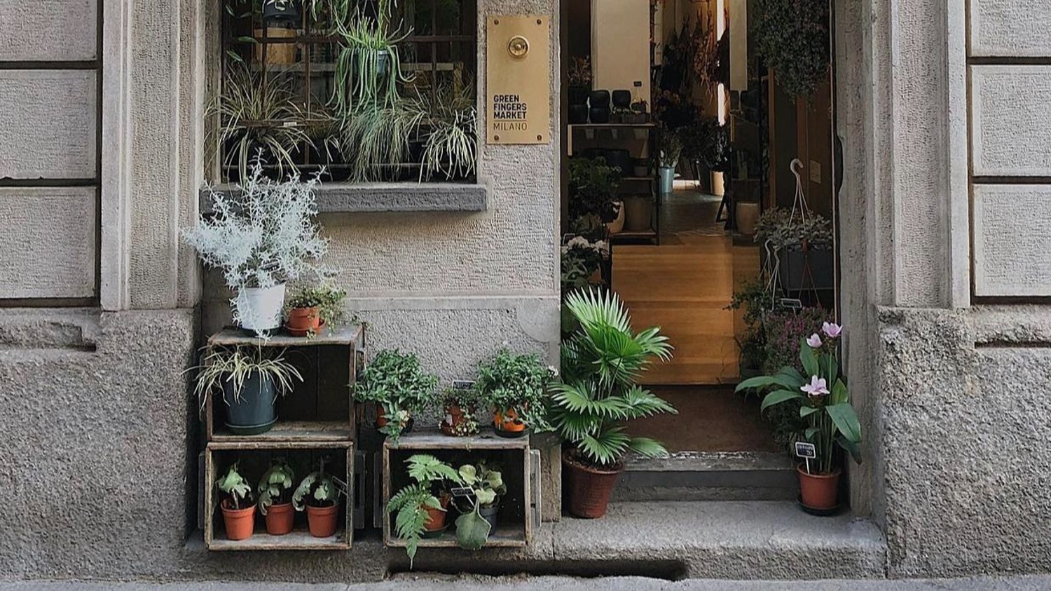 Green Fingers Market