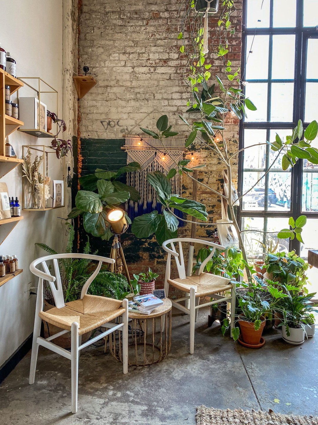 Anima Mundi Apothecary, Brooklyn