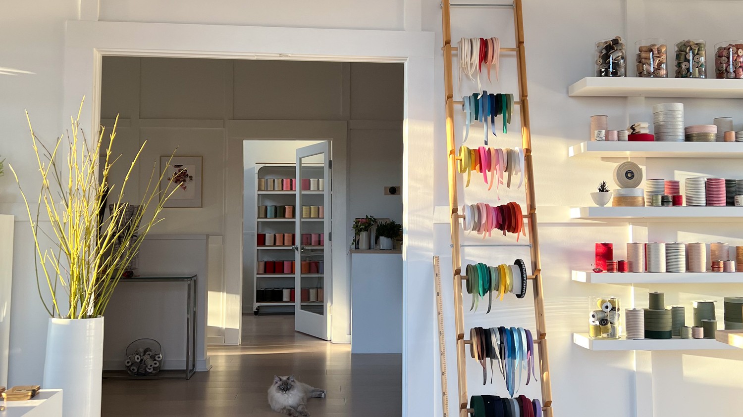 Studio Carta