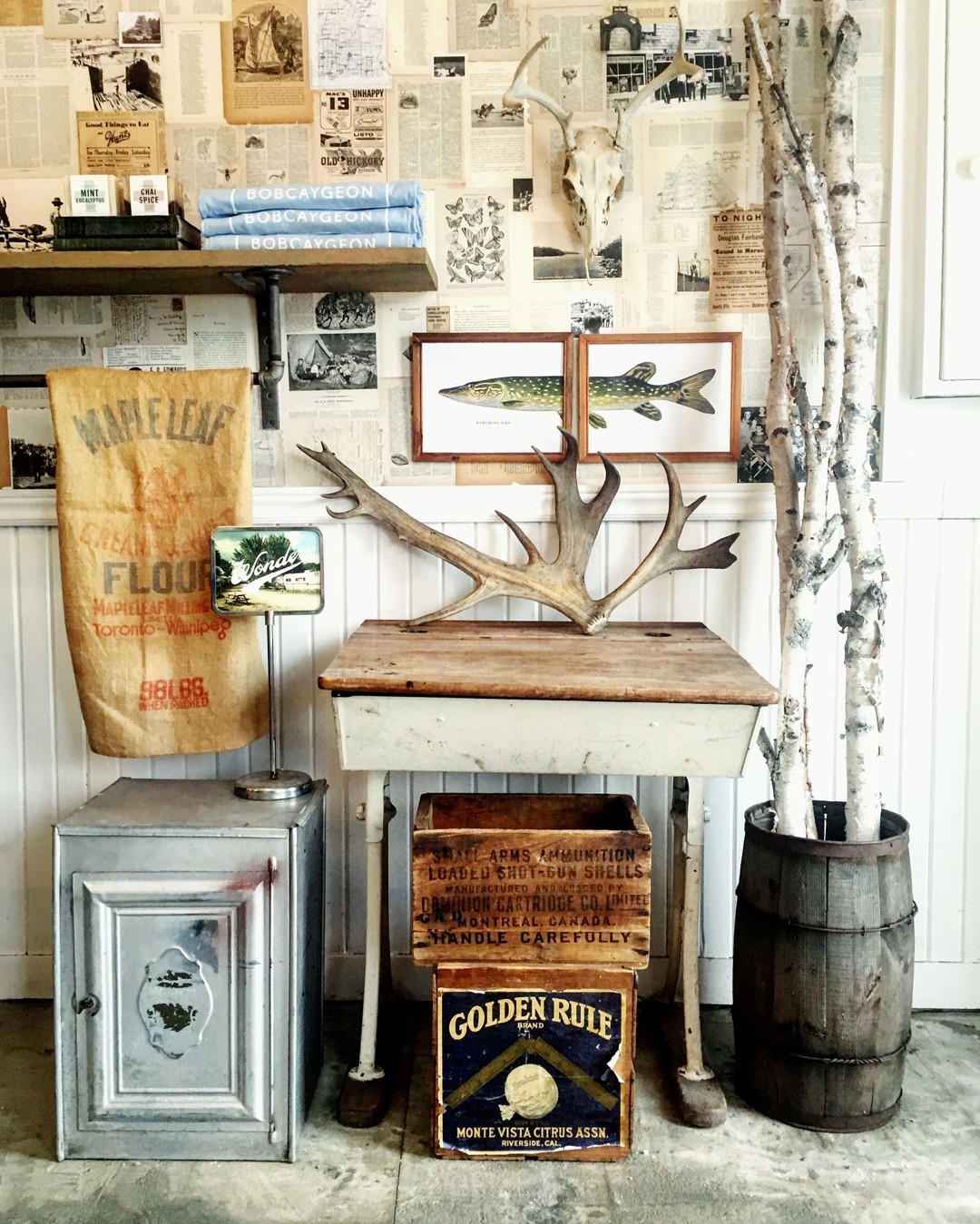 Douglas & Son, Bobcaygeon