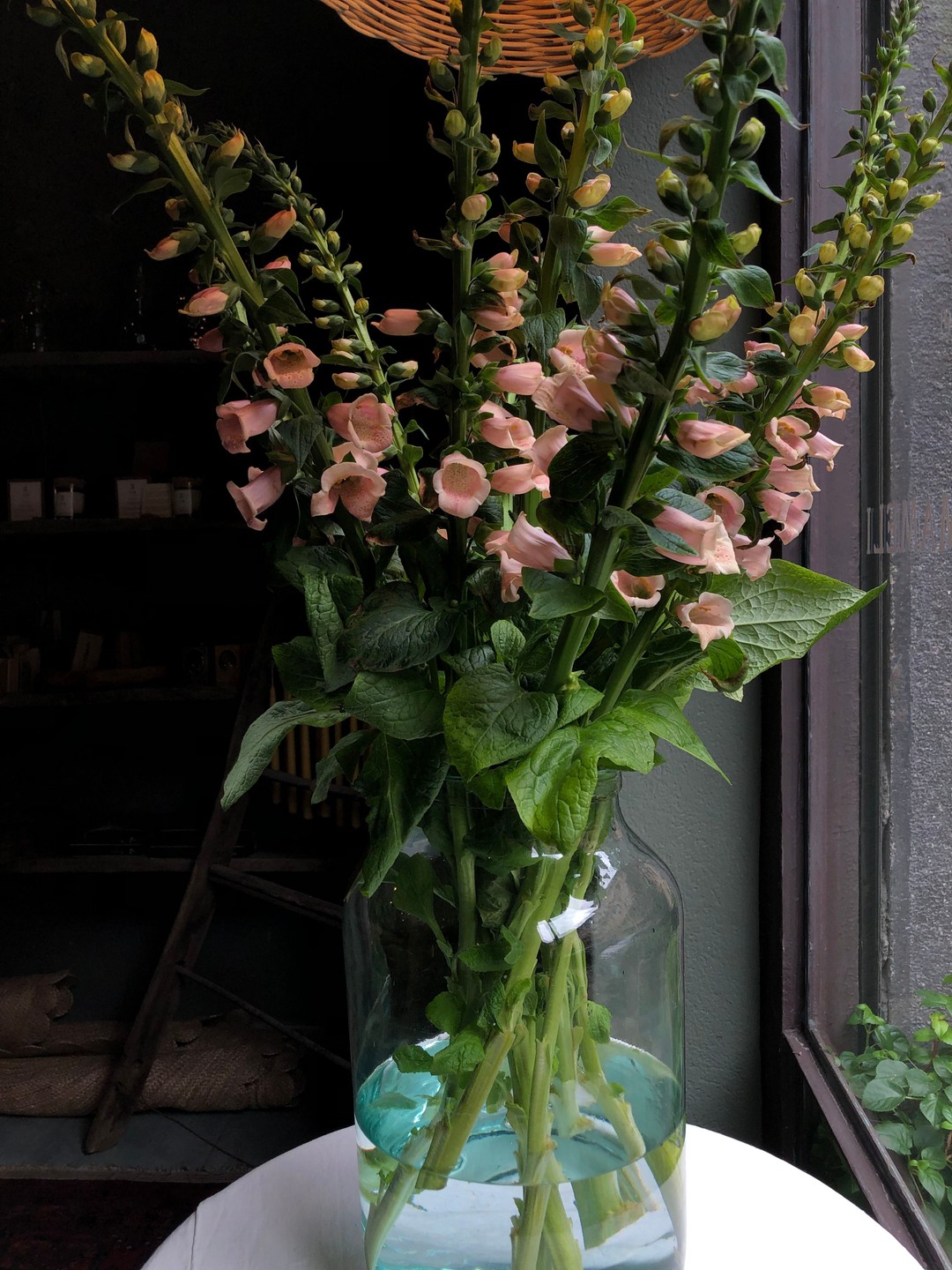 Vicolo Via Mameli, Milan: Flowers