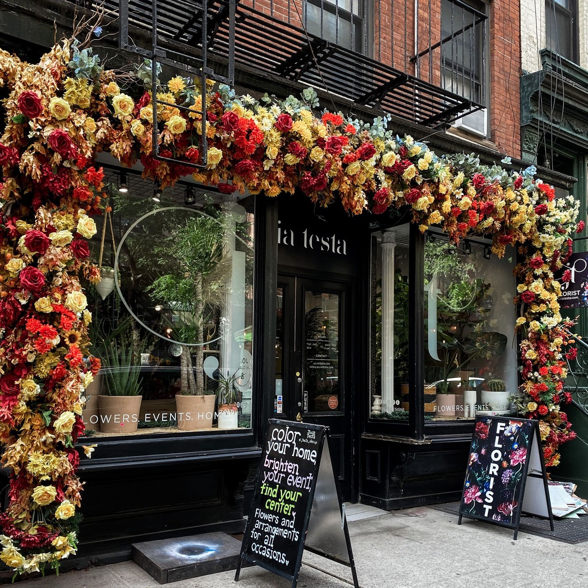 Julia Testa, New York