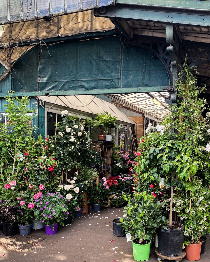 Marché aux Fleurs Reine-Elizabeth-II, Paris