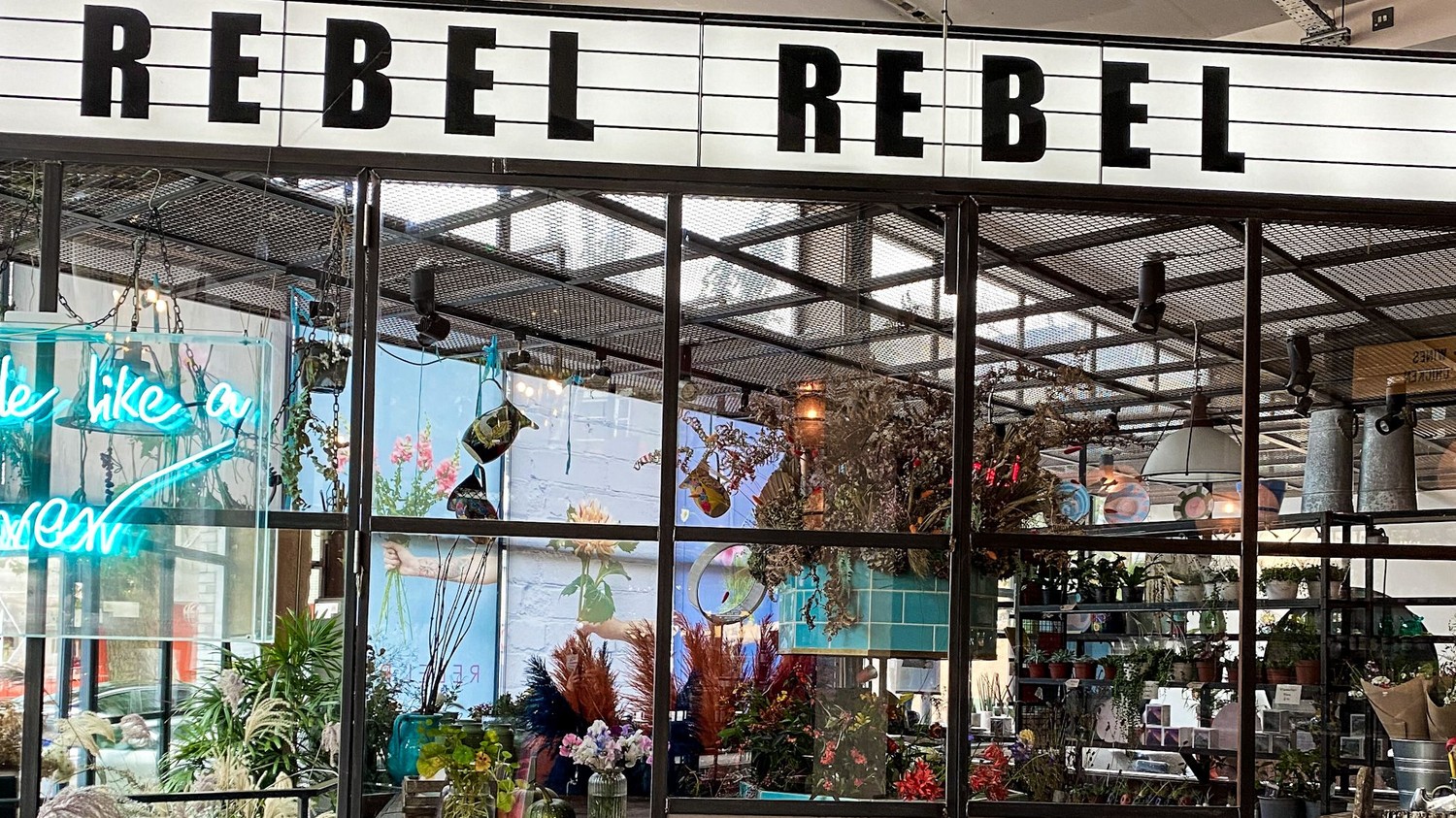 Rebel Rebel