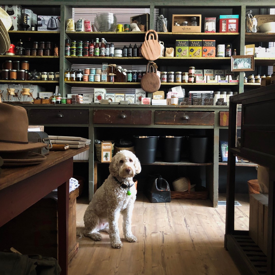 Boston General Store