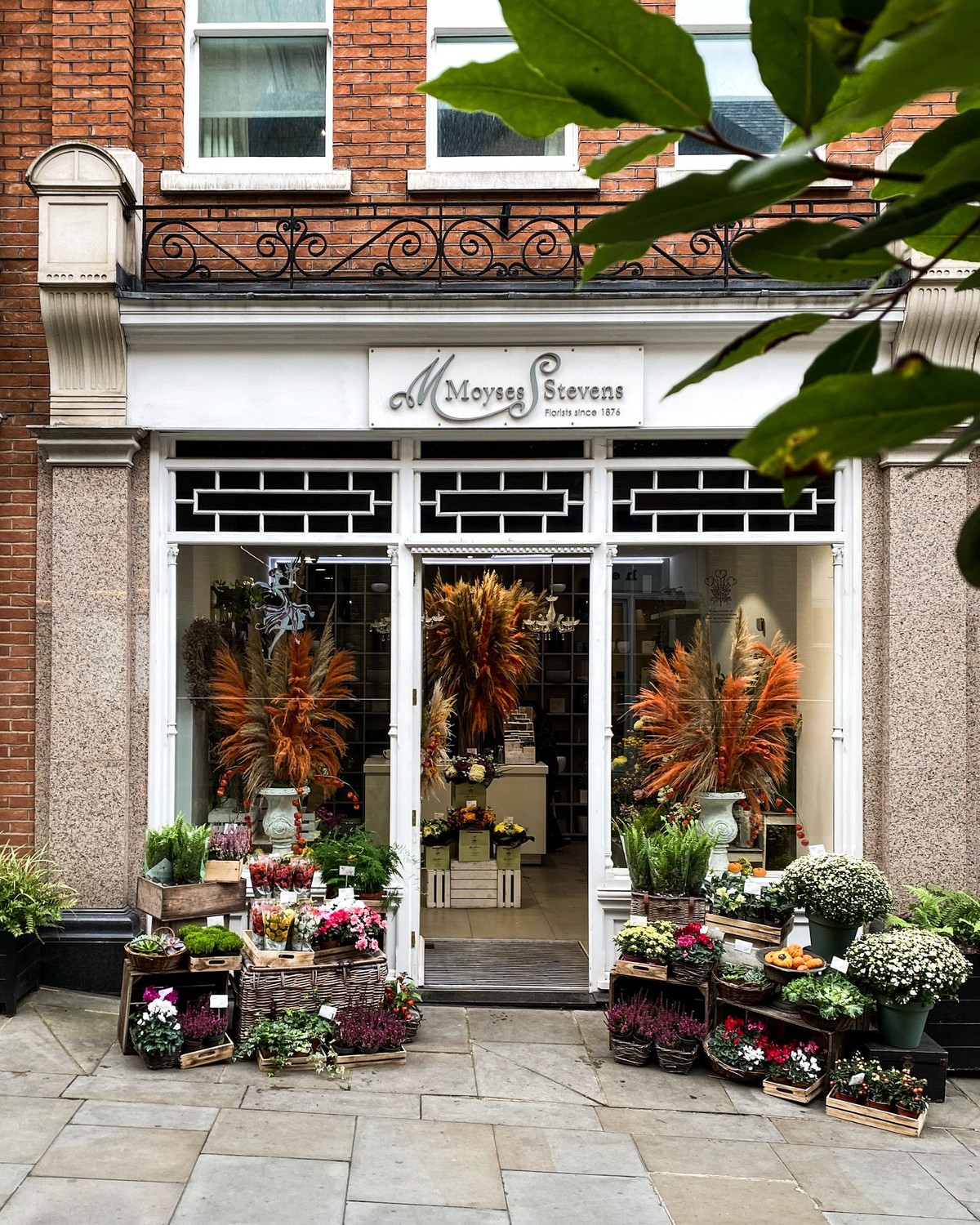 Moyses Stevens, Sloane Square