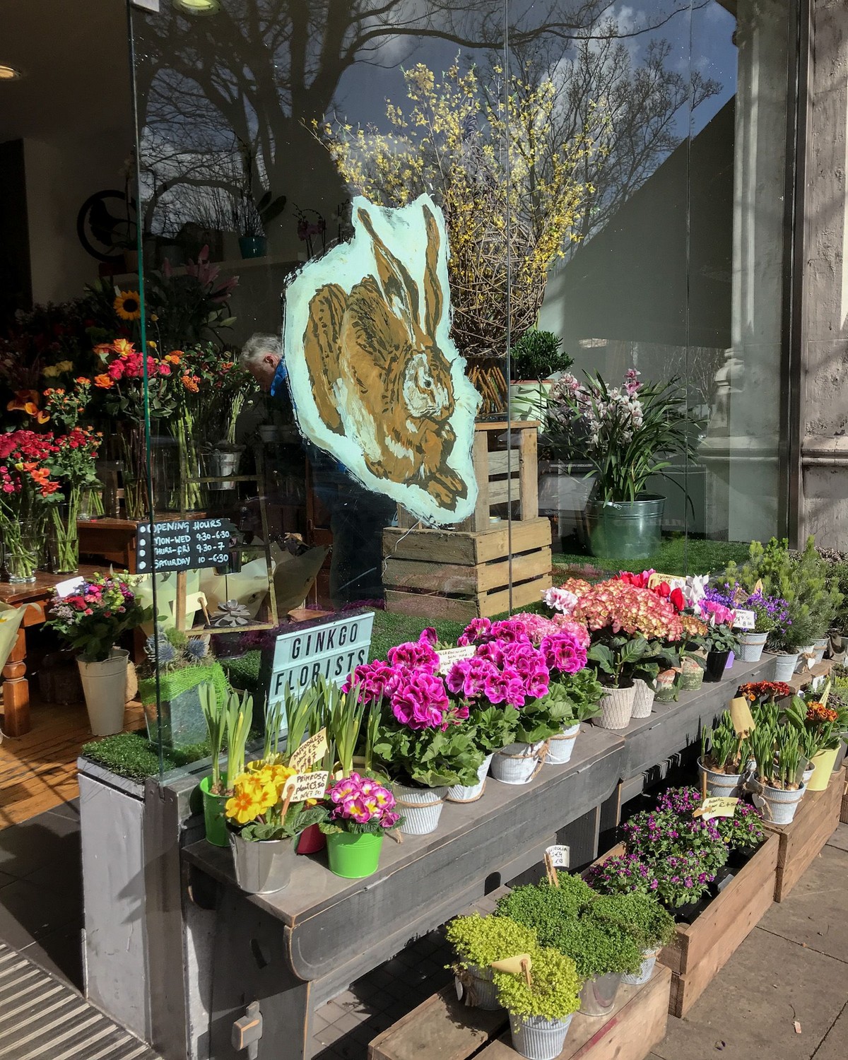 Gingko Florists, Dublin