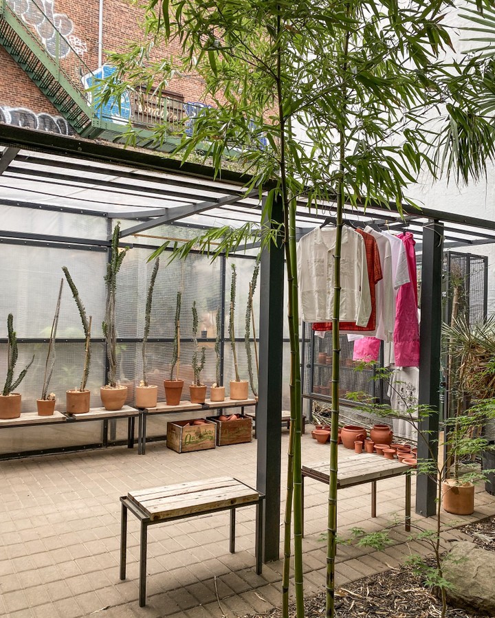Cactus Store, New York