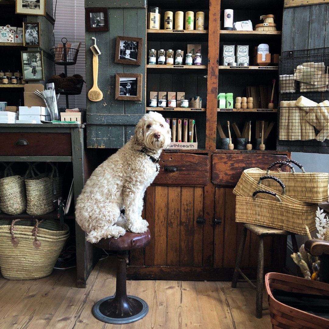 Boston General Store