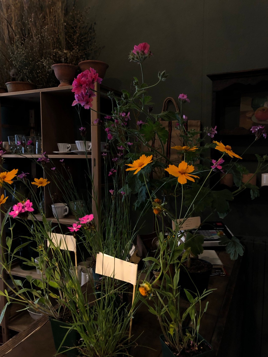 Vicolo Via Mameli, Milan: Flowers