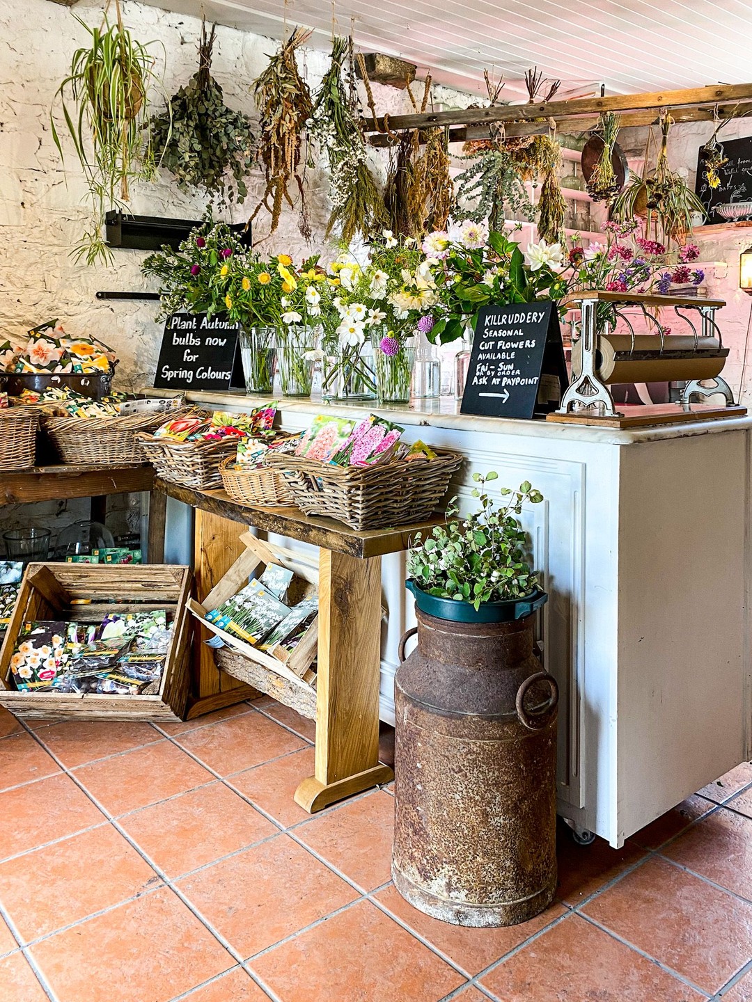 Flowers Kilruddery