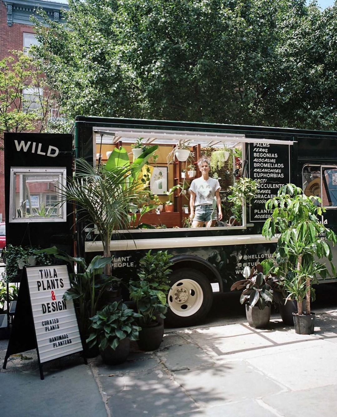 Tula, Tulita plant truck, Brooklyn