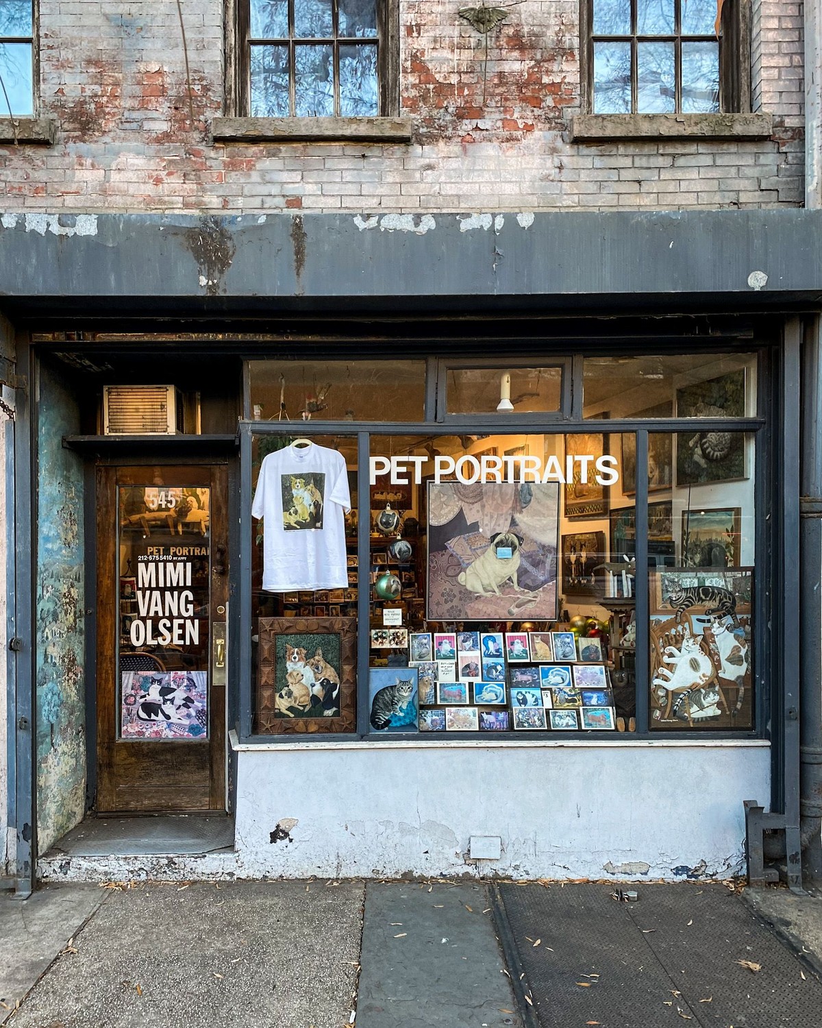 Pet Portraits, New York