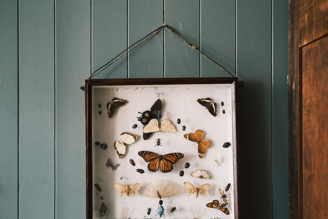 Joy Thorpe Decorative Antiques, Castlecomer
