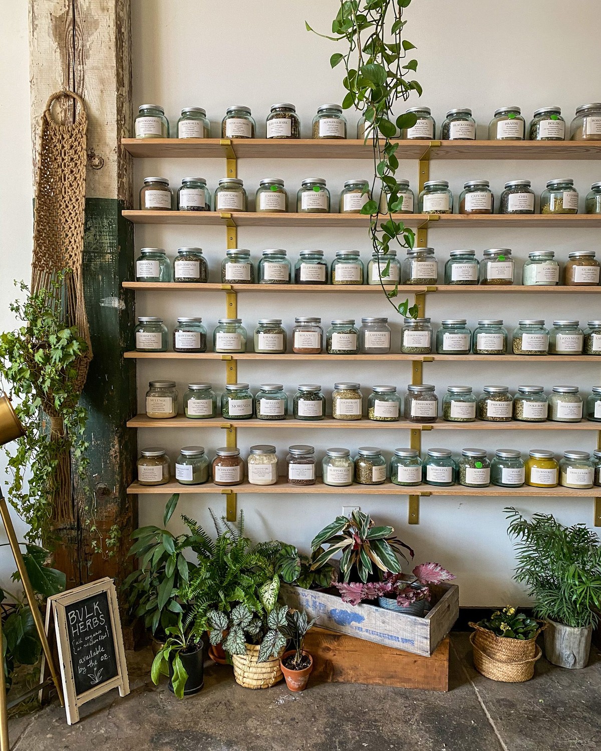Anima Mundi Apothecary, Brooklyn