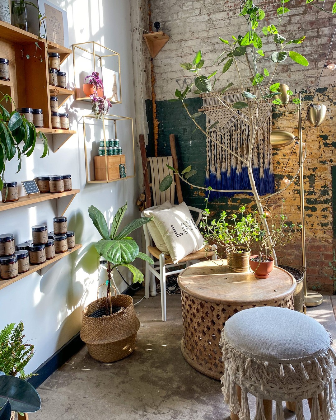 Anima Mundi Apothecary, Brooklyn