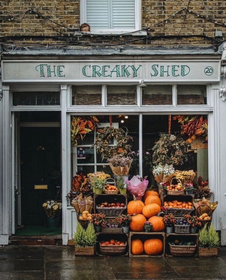 The Creaky Shed, London