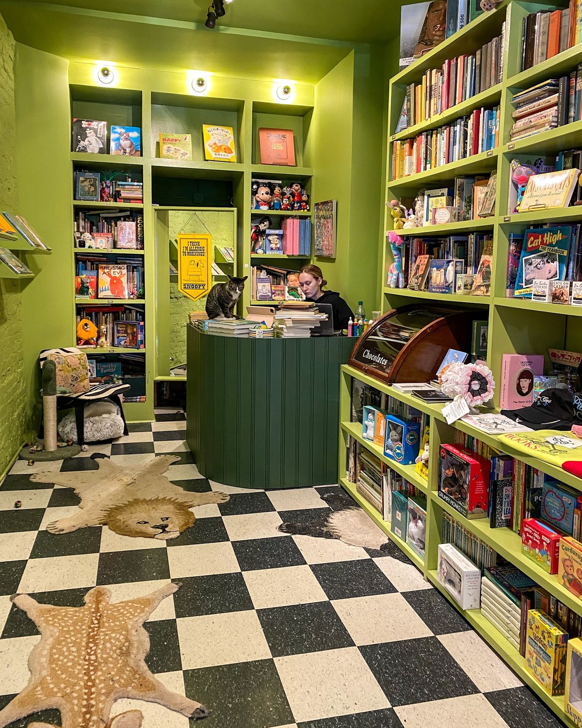 Pillow-Cat Books, New York