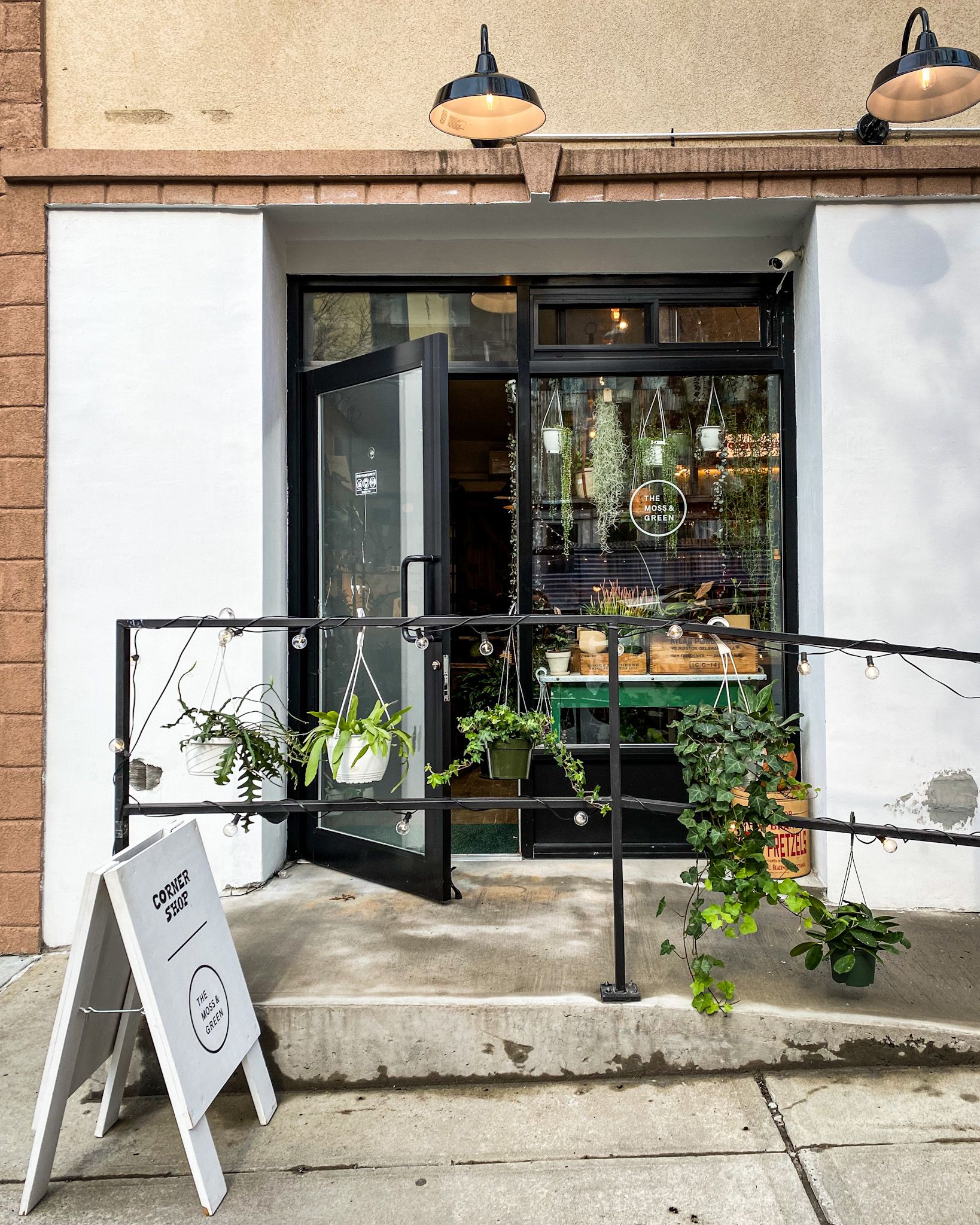 The Moss & Green | The Shopkeepers