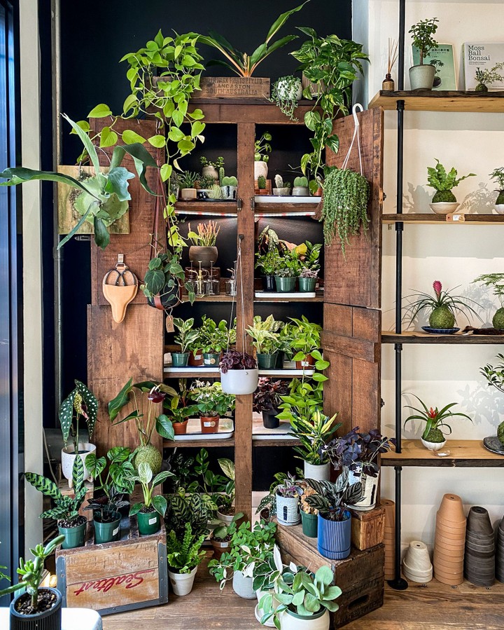 The Moss & Green, New York