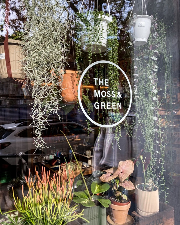 The Moss & Green, New York