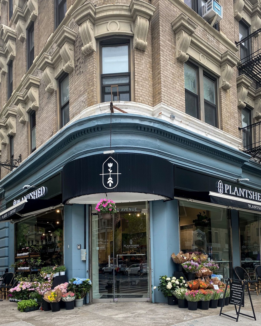 Plantshed, East Village
