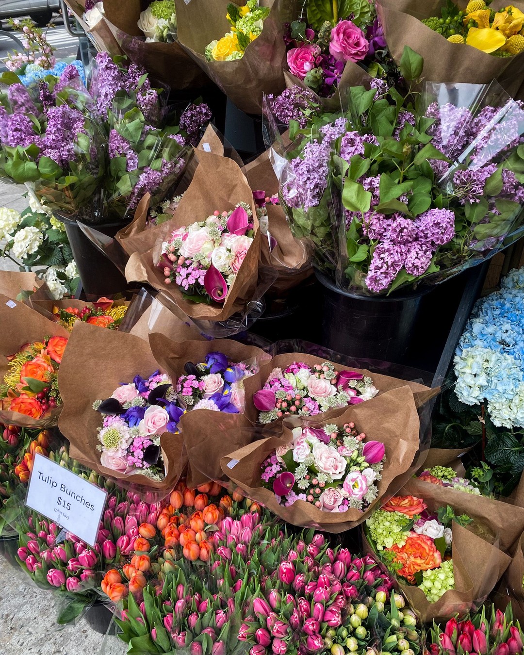 Plantshed, East Village