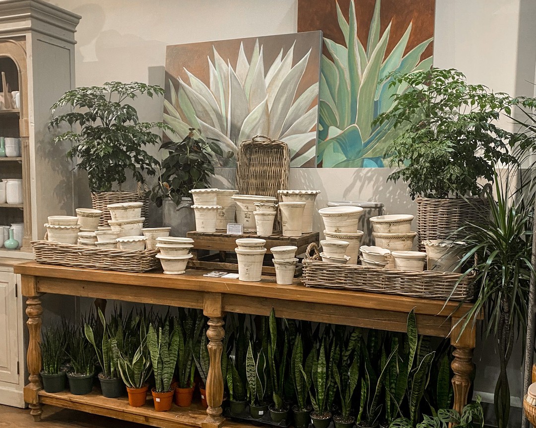 Plantshed, East Village