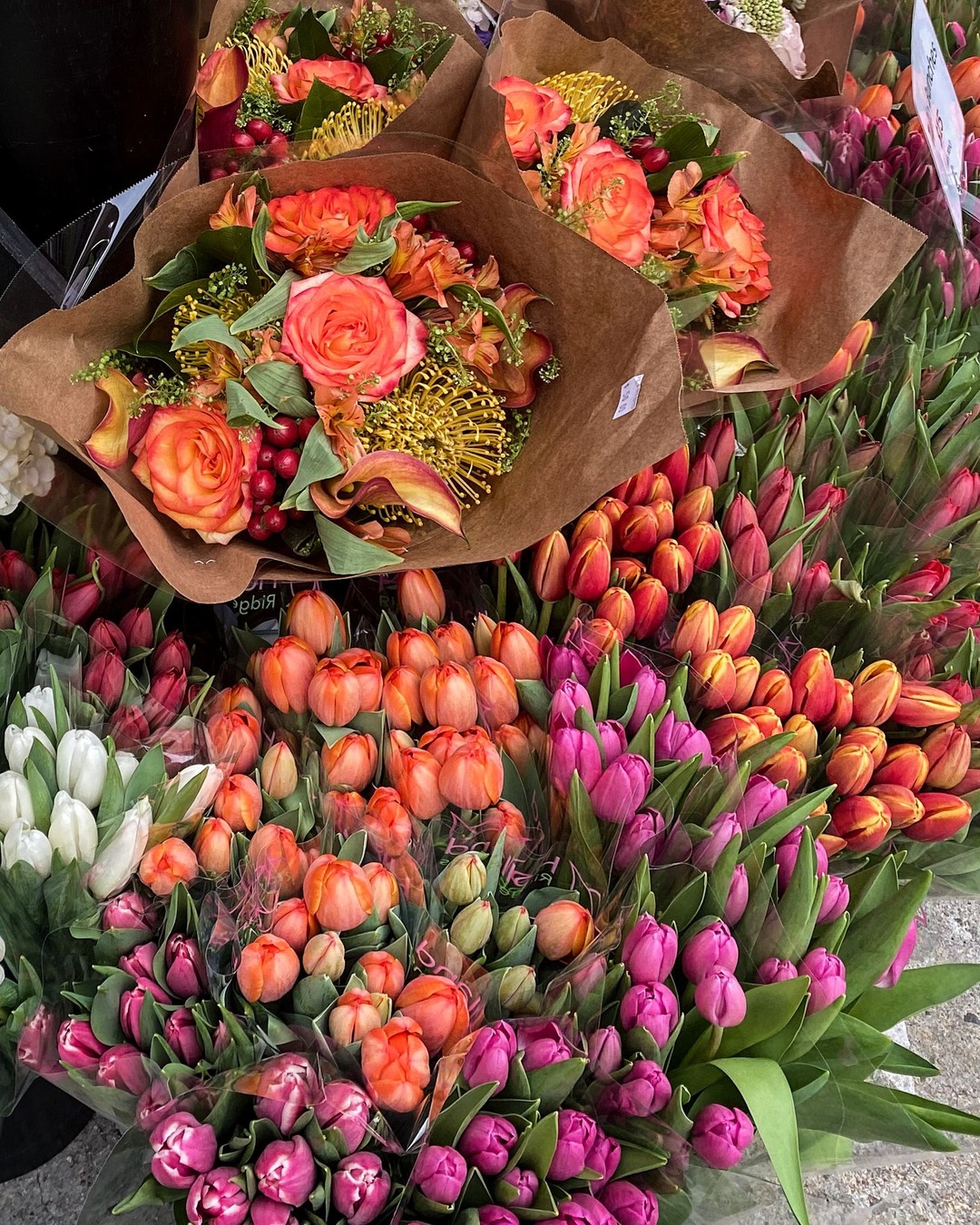 Plantshed, East Village