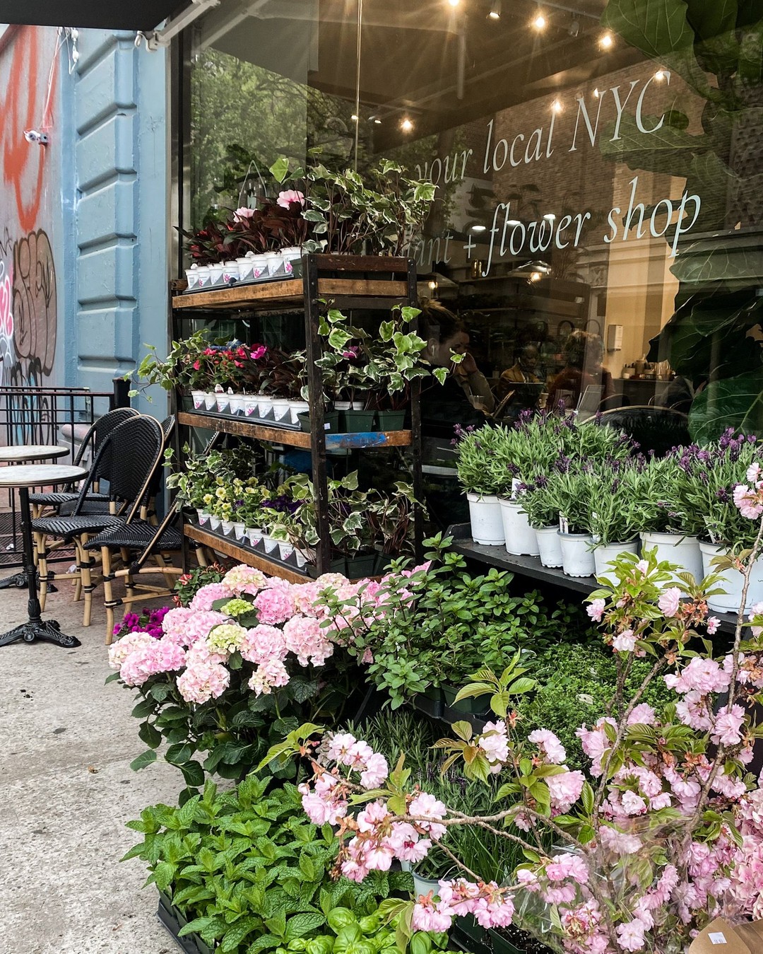 Plantshed, East Village