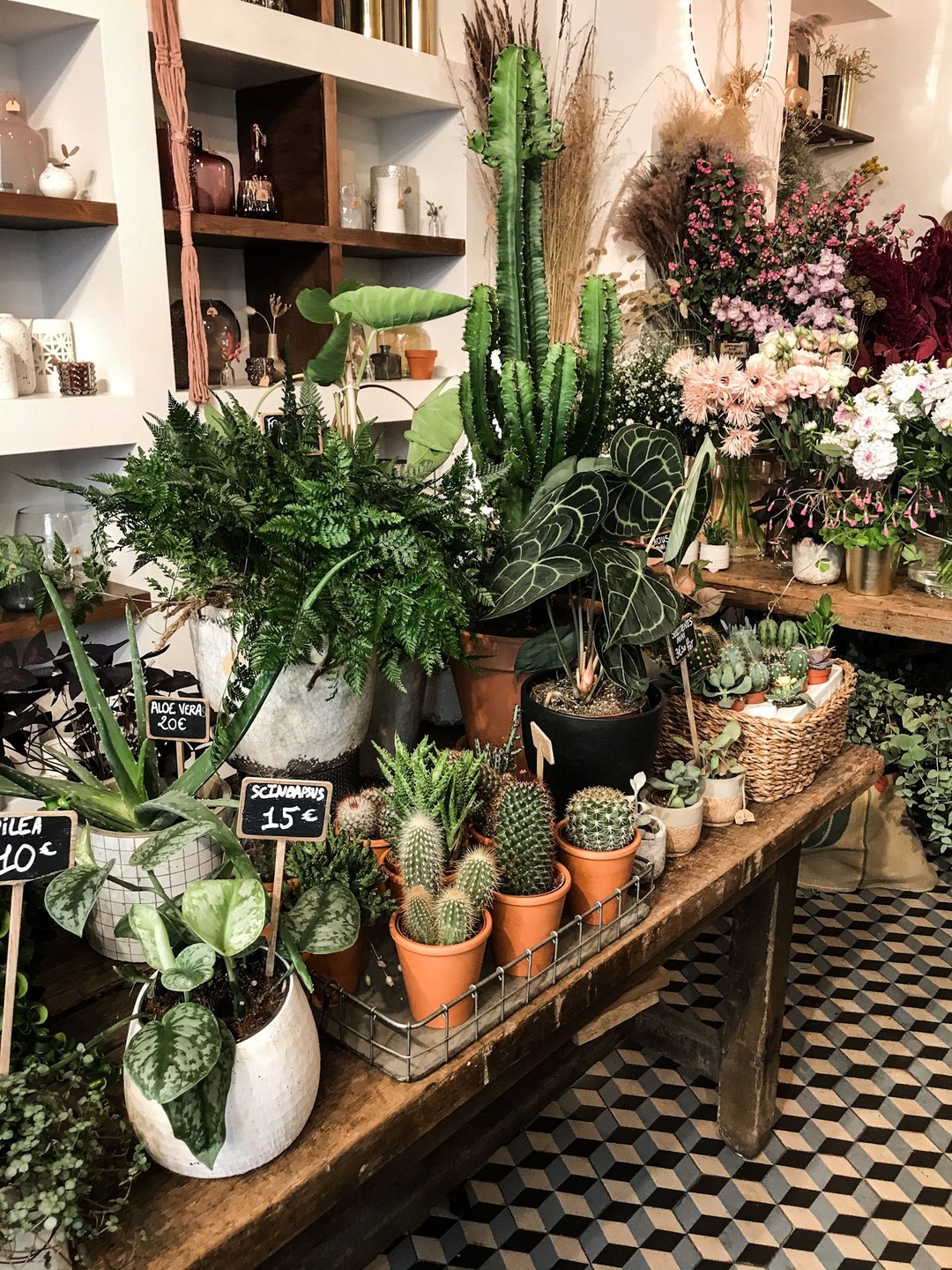 Fragrance, Paris