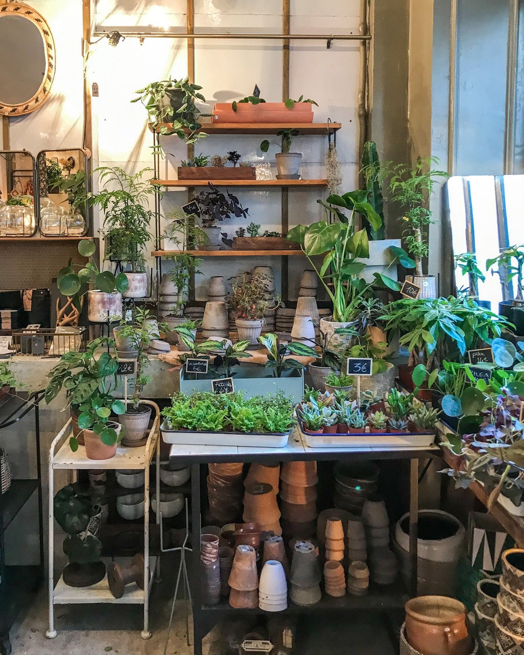 Les Fleurs, Paris